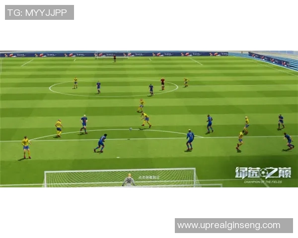 芬兰足球传奇球星崛起之路：从本土草根到欧洲赛场的闪耀之星